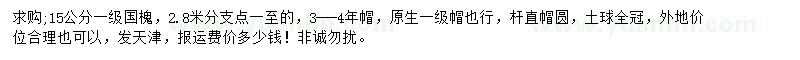 求購15公分國槐