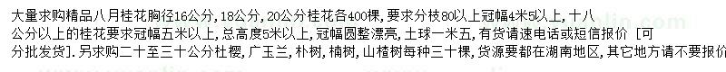 求購(gòu)八月桂、杜櫻、廣玉蘭等