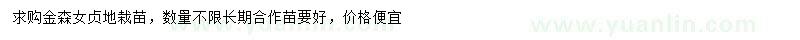 求購金森女貞