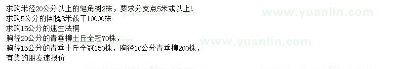 求購皂角、國槐、速生法桐等