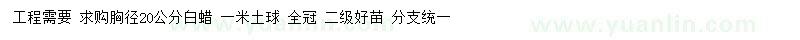 求購胸徑20公分白蠟
