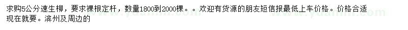 求購5公分速生柳