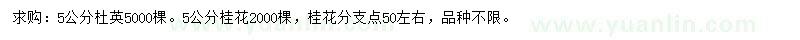 求購(gòu)5公分杜英、桂花