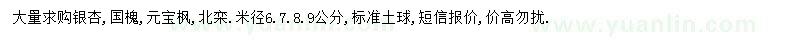 求購銀杏、國槐、元寶楓等