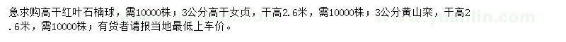 求購紅葉石楠球、女貞、黃山欒