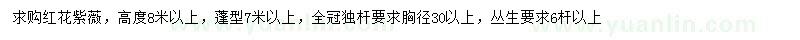 求購(gòu)高8米以上紫薇
