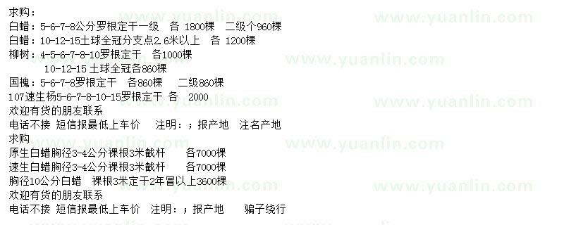 求購白蠟、柳樹、國槐等