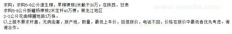 求購速生柳、旱柳、新疆楊等