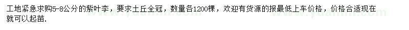 求購5-8公分紫葉李