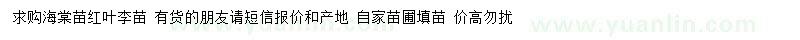 求購0.8公分以上海棠、紅葉李