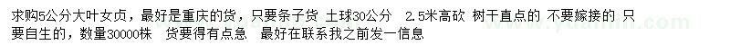 求購5公分大葉女貞