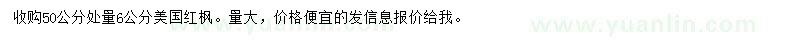 求購50公分處量6公分美國紅楓