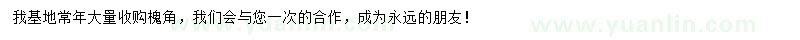 求購槐角