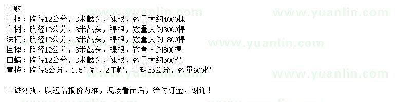 求購青桐、欒樹、法桐等