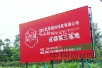 四川乾景園林供應(yīng)紅葉李5-12