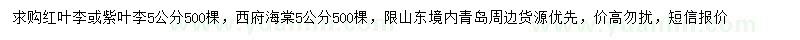 求購5公分紅葉李或紫葉李、西府海棠
