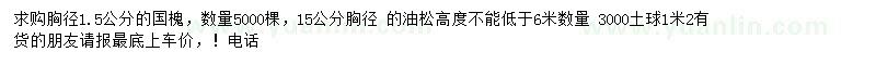 求購胸徑1.5公分國槐