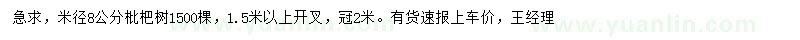 求購米徑8公分枇杷樹