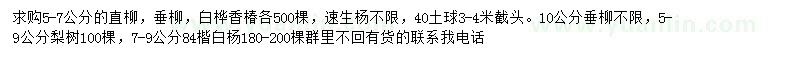 求購(gòu)直柳、垂柳、白樺等