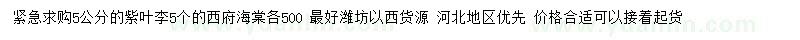 求購5公分紫葉李、西府海棠