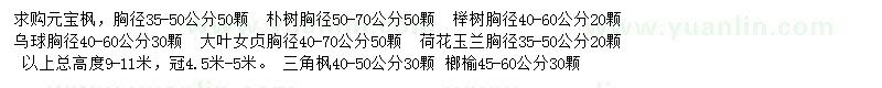 求購元寶楓、樸樹、櫸樹等