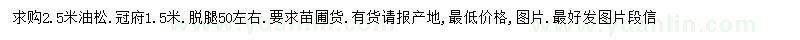 求購2.5米油松