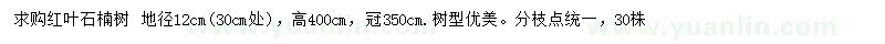 求購30公分處量12公分紅葉石楠