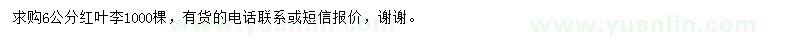 求購(gòu)6公分紅葉李