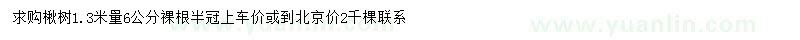 求購1.3米處量6公分楸樹