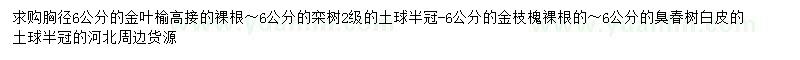 求購金葉榆、欒樹、金枝槐等