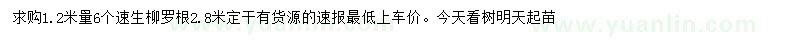 求購1.2米處量6公分速生柳