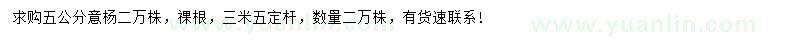 求購5公分意楊