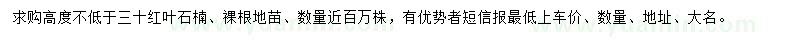 求購高30公分以上紅葉石楠