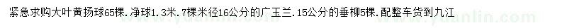 求購大葉黃楊球、廣玉蘭、垂柳