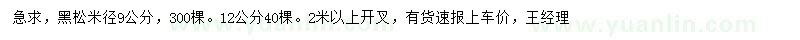 求購米徑9公分黑松