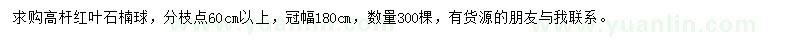 求購冠幅180公分高桿紅葉石楠球