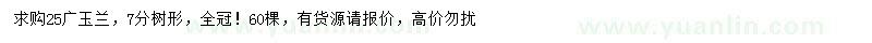 求購胸徑25廣玉蘭
