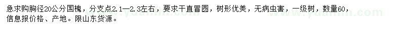 求購胸徑20公分國槐