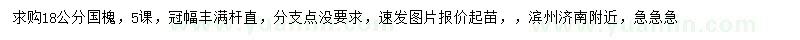 求購(gòu)18公分國(guó)槐