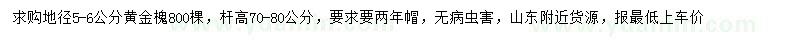 求購地徑5-6公分黃金槐