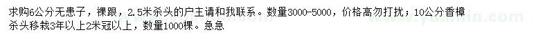 求購6公分無患子、10公分香樟