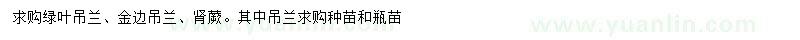 求購綠葉吊蘭、金邊吊蘭、腎蕨