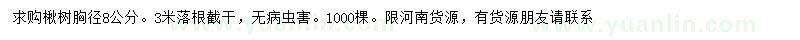 求購胸徑8公分楸樹