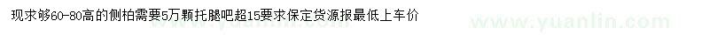 求購高60-80公分側(cè)柏