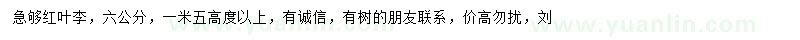 求購(gòu)6公分紅葉李