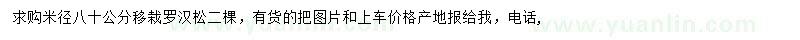 求購(gòu)米徑80公分羅漢松