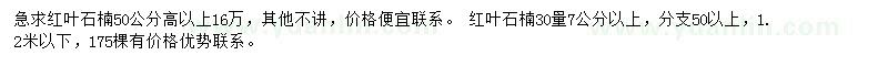 求購紅葉石楠