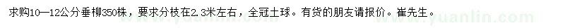 求購10-12公分垂柳