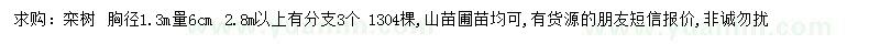 求購1.3米處量6公分欒樹