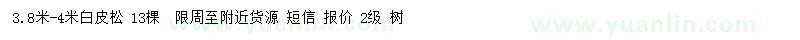 求購3.8-4米白皮松